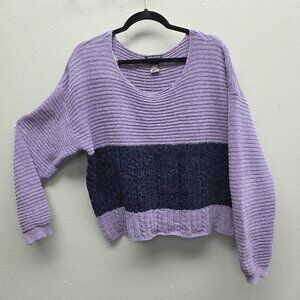 Blush & Bloom Sweater Womens XL Purple Navy Colorblock Chenille Pullover Cropped
